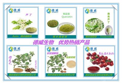 番瀉葉提取物 功效、市場價格與西安產業概況